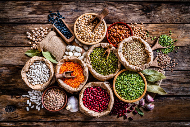 The Matel International - WhatsApp Image 2025-09-29 at 10.23.59 AM (2)